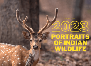 2023 CALENDAR - “PORTRAITS OF INDIAN WILDLIFE”